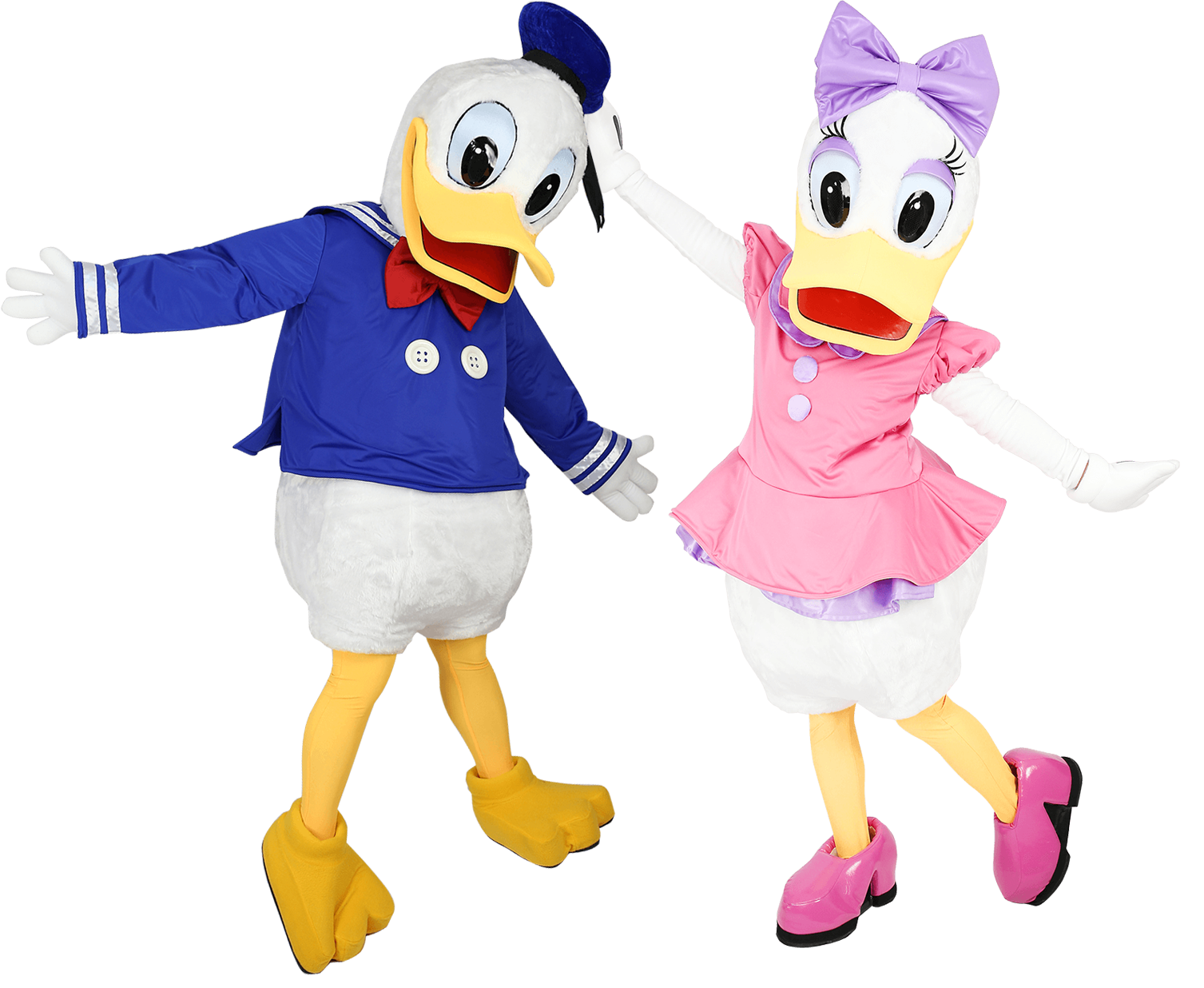 Donald a Daisy